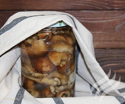 Валуи соленые