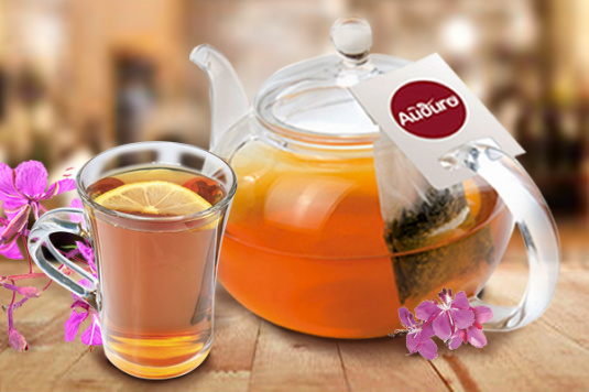 Иван-чай для сегмента HoReCa