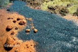 Что почитать? Мы подскажем!