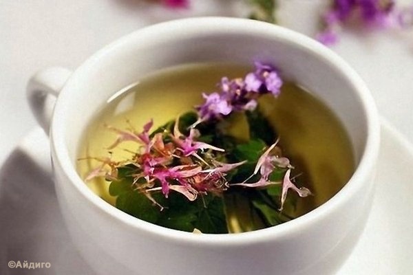 willow herb tea.jpg