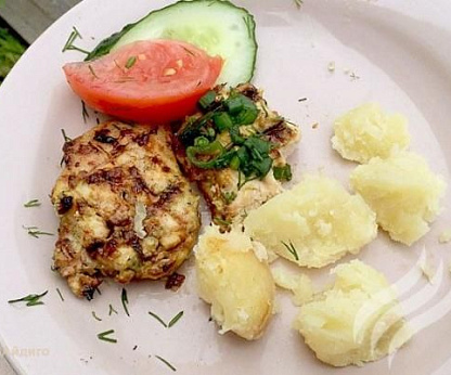 Шашлык из курицы в йогуртовом маринаде