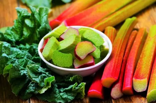 Рецепты с ревнем