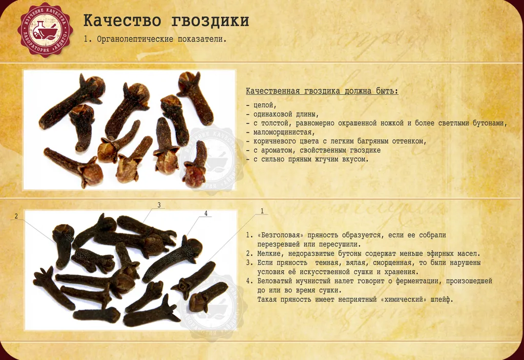 Как проверить качество специи гвоздики?